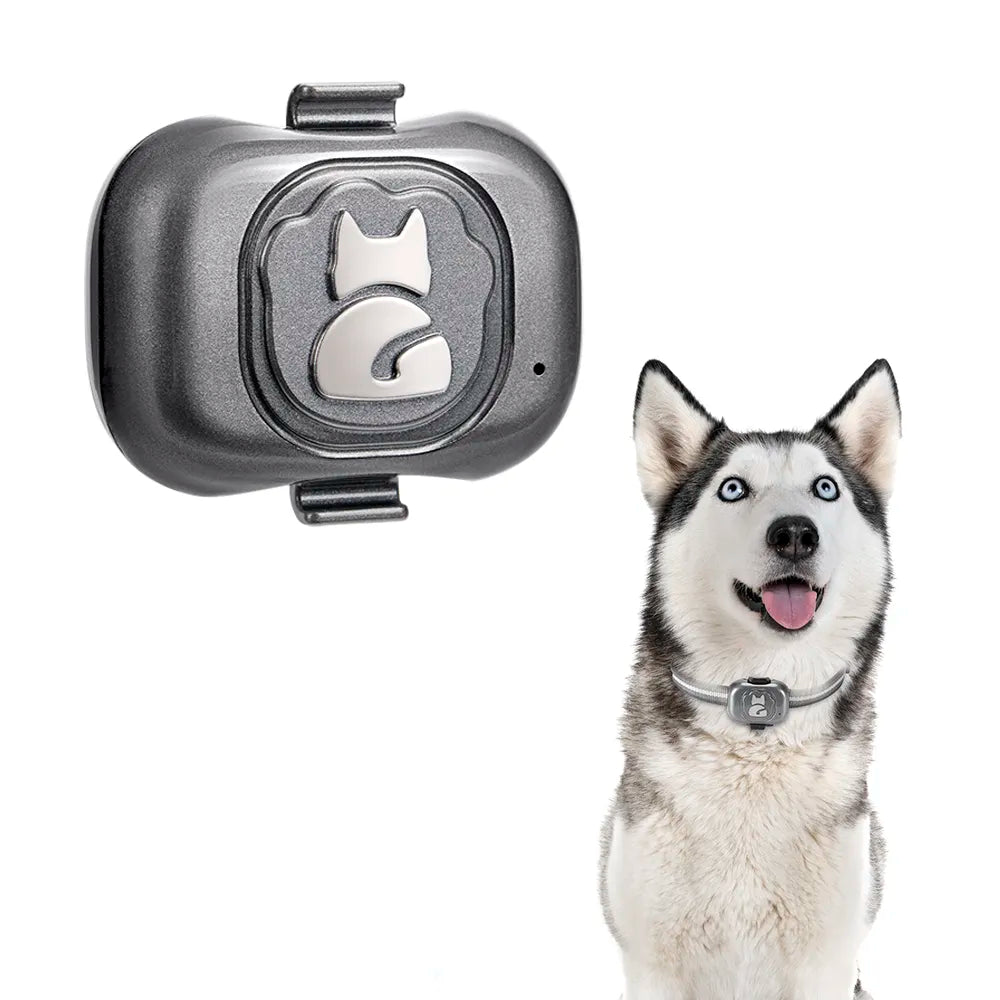 4G GPS Dog Tracker Waterproof Anti-Lost Smart Finder