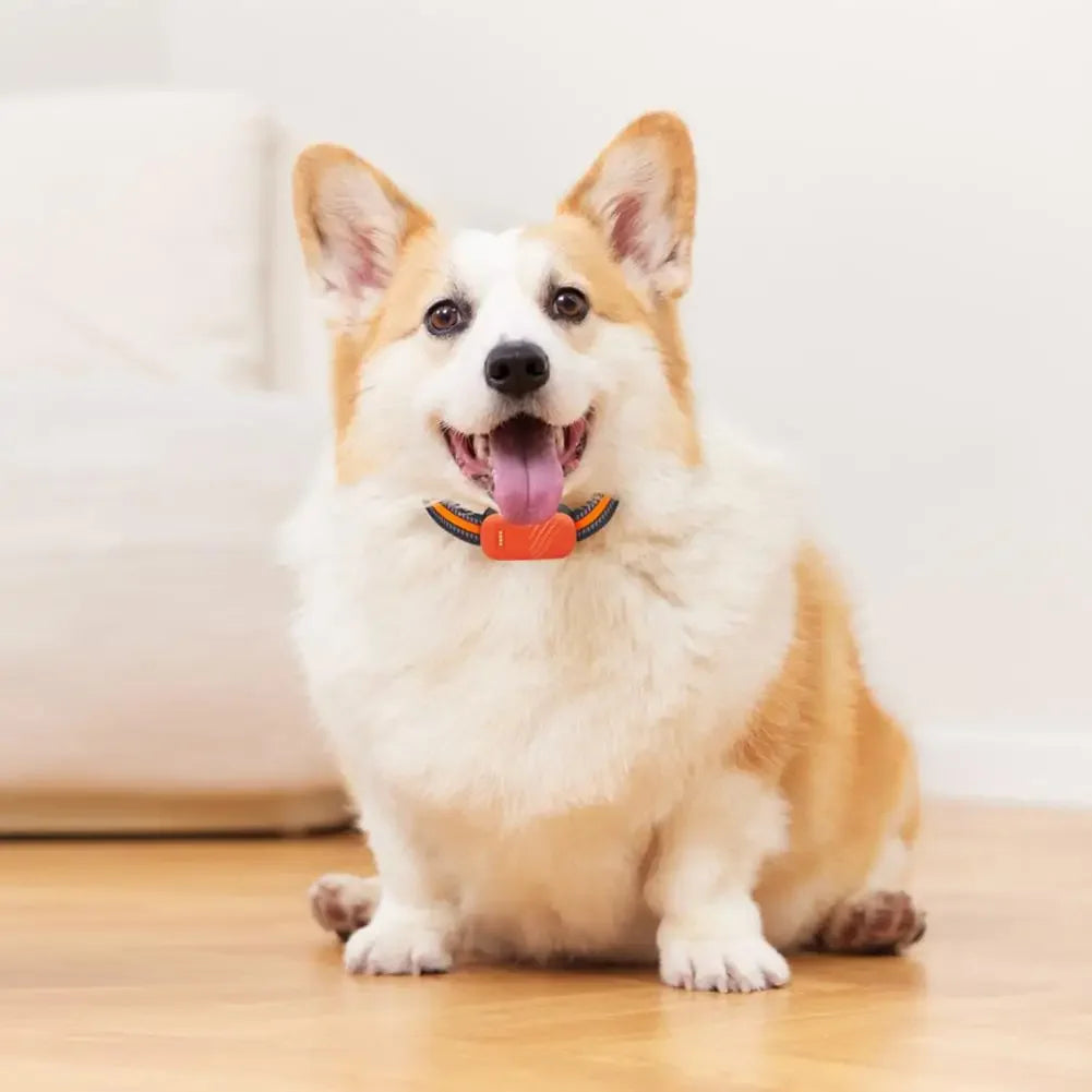 New 4G GPS Tracker Waterproof Anti-Loss for Pets