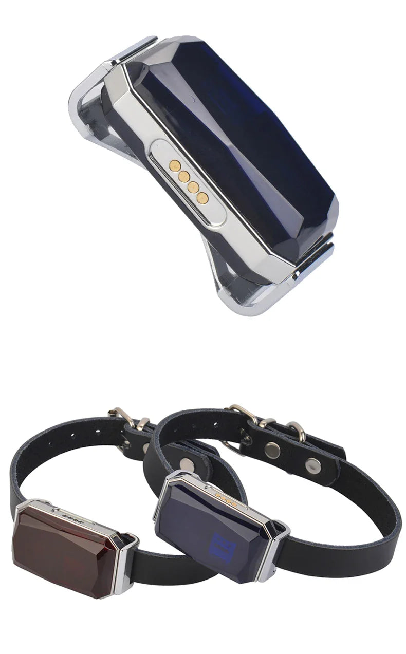 Mini GPS Pet Tracker Waterproof Anti-lost Collar