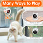 Fun Teaser Cat Laser Toy