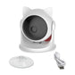 Fun Teaser Cat Laser Toy