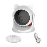 Fun Teaser Cat Laser Toy